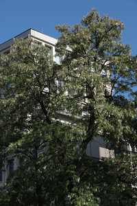 Okolice ronda mogilskiego i cystersów w Krakowie 53