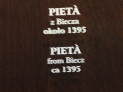 Pałac Erazma Ciołka 13
