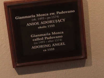 Pałac Erazma Ciołka 61