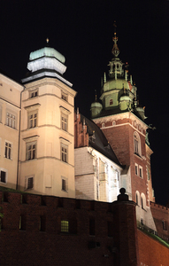 Zamek wawelski