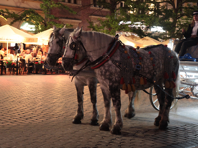 Kraków nocą 21