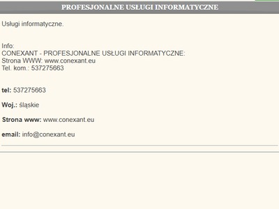 POLECAM PROFESJONALNE USŁUGI INFORMATYCZNE: conexant.eu