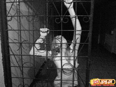 walka o wolnośc!!!!!!!!!!