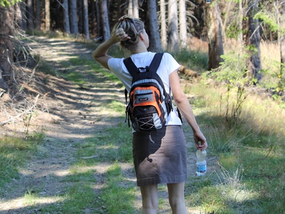 Szukam przewodnika po weekendowych wędrówkach.