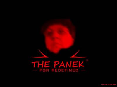 The Panek