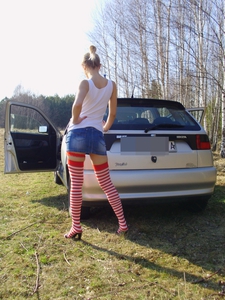 Brzozy smoleńskie :)